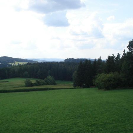 Haus Hoenigsgrub Rinchnach Buitenkant foto
