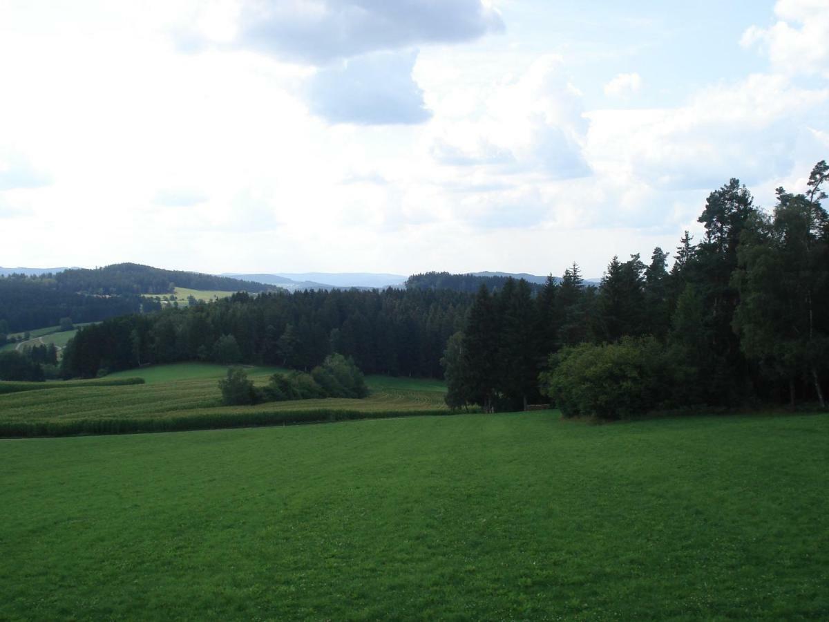 Haus Hoenigsgrub Rinchnach Buitenkant foto
